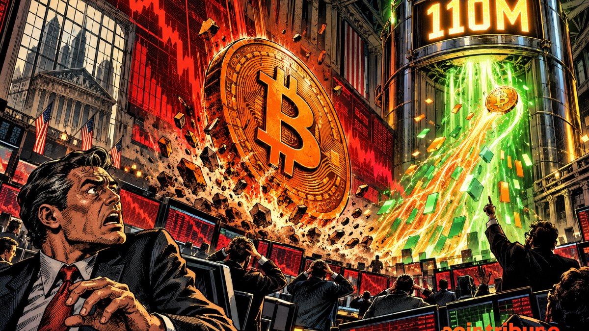 ABD Bitcoin ETF'lerinde 110 Milyon Dolarlık Sınırlı Toparlanma: BTC 80.000 Doların Altında