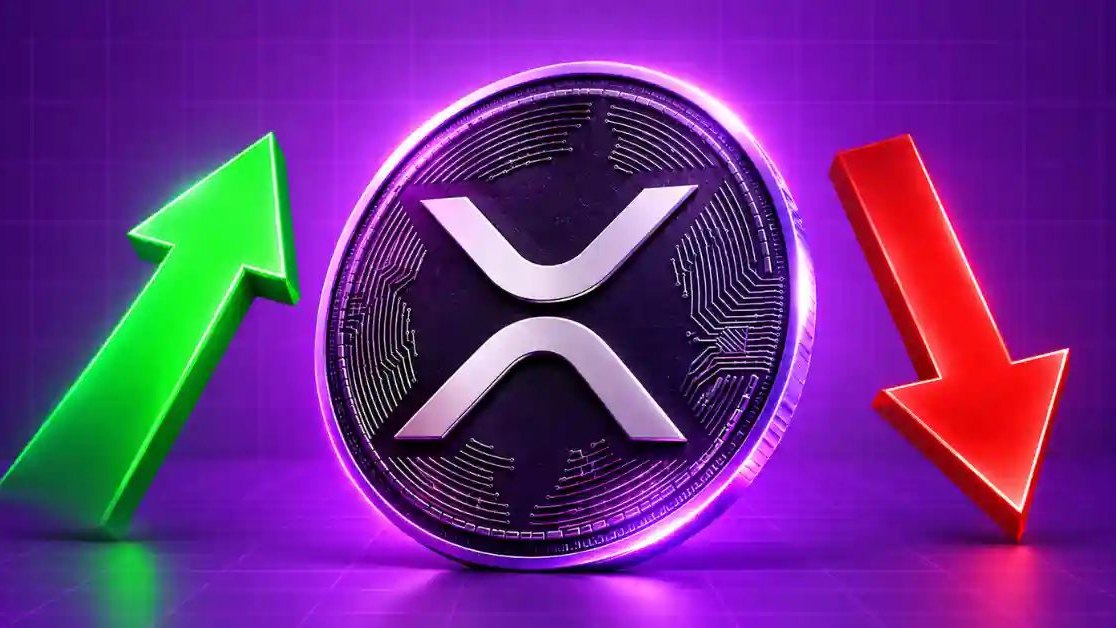 ABD Spot XRP ETF’leri Varlık ve Giriş Verilerinde Solana’yı Geride Bıraktı