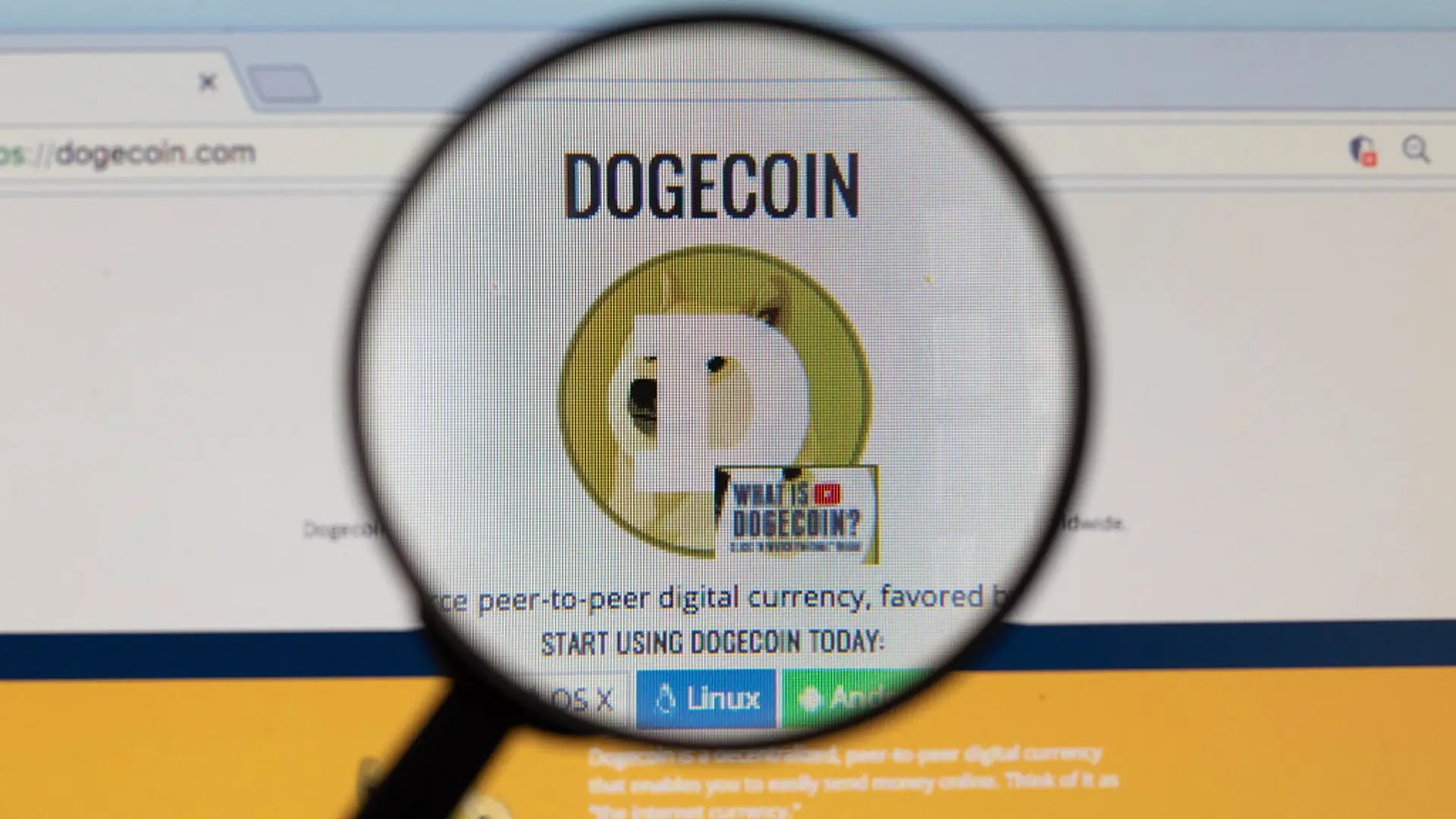 DogeOS, Dogecoin İçin EVM Uyumlu DeFi Testnet'ini Erişime Açtı